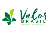 Logo da Valor Brasil