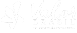 logo valor brasil